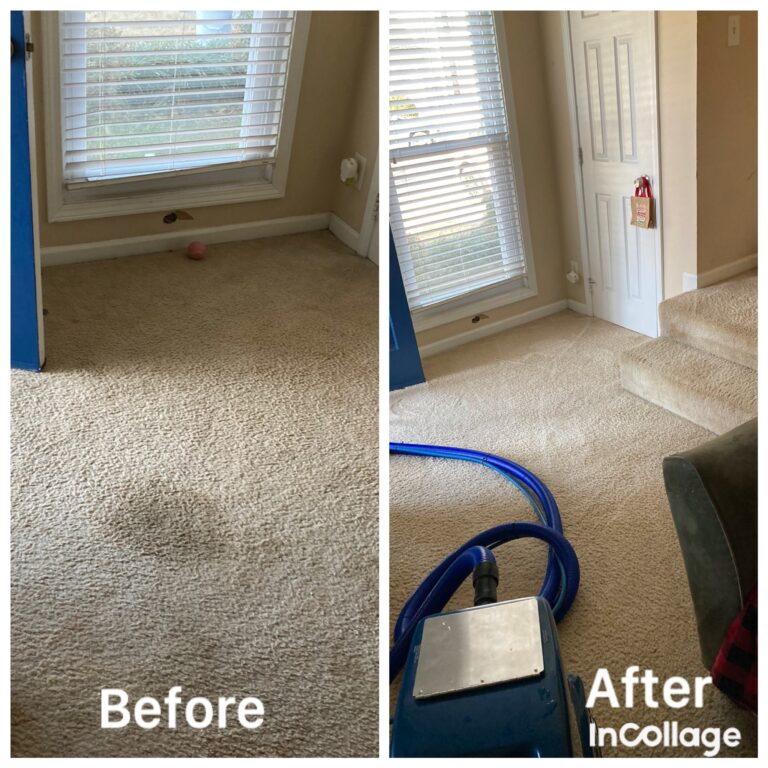 aqua cleaning pros reviews